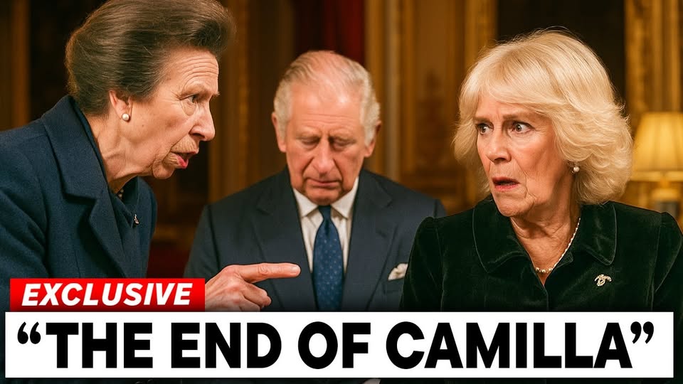 Princess Anne Demands Emergency Vote to Remove Camilla’s Title