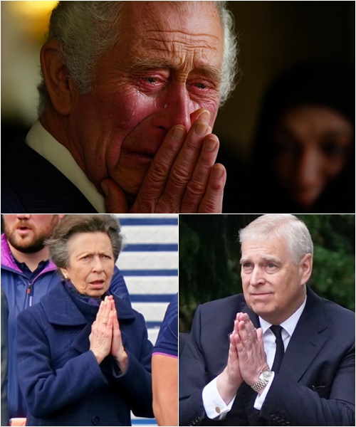 577055378_122224784816103855_5171716896077720616_n