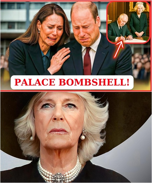 577876768_122225191898103855_5462500983476144733_n