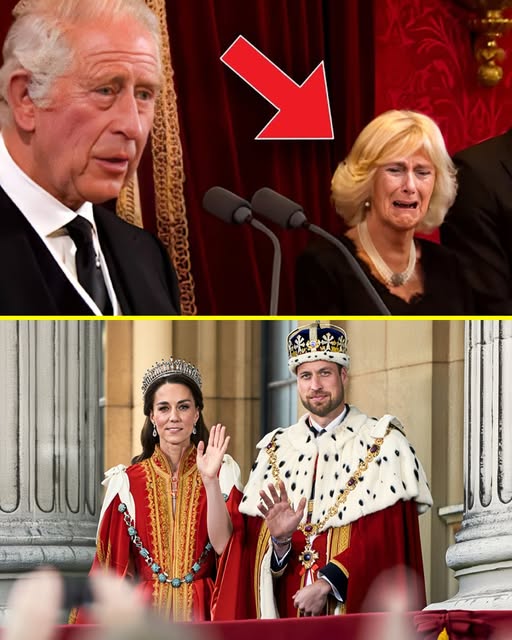 579180263_122225517698103855_2746001369542720680_n (3)