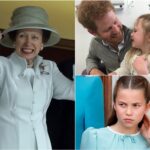 579343558_122225268632103855_3931456793483909685_n (1)