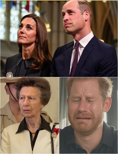 579888064_122225521238103855_8195778863466084860_n