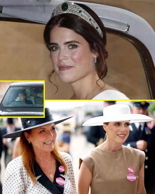 581005333_122225816684103855_2085222963571155044_n (1)