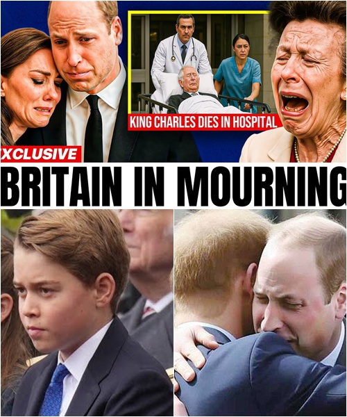 581455068_122225814440103855_3662851674064416136_n