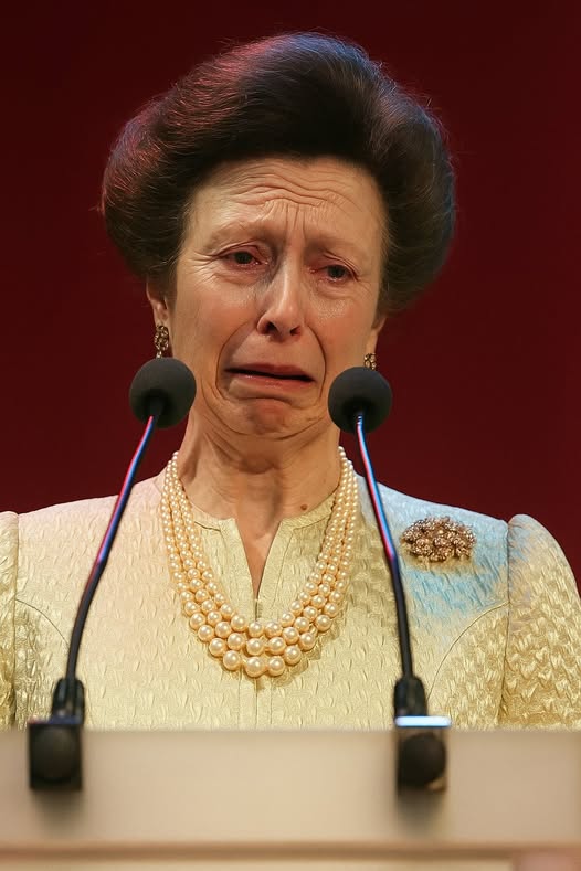 581677178_122226038336103855_3706832430110697133_n