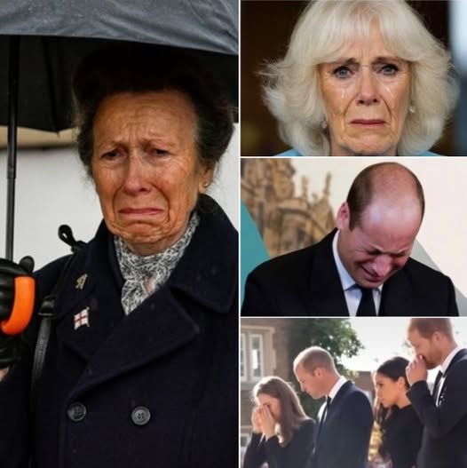 581837931_122226030992103855_757231227679323626_n (1)