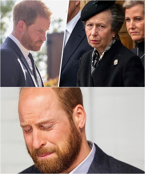 581938985_122225809250103855_3214108737673687681_n