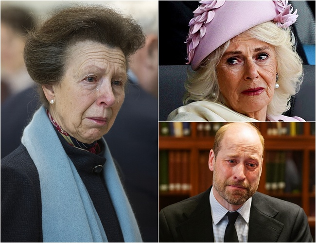 583104038_122226365006103855_6665357952376469903_n