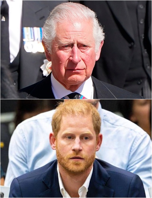 583173642_122226338276103855_4173049719992825406_n (1)