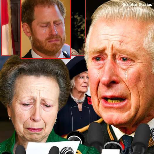 587186778_122227103966103855_1646168269461719031_n