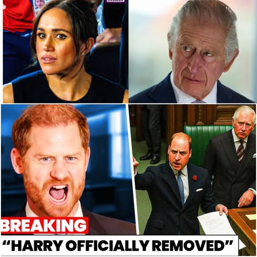 587822457_122227206326103855_6757780250768243548_n (1)