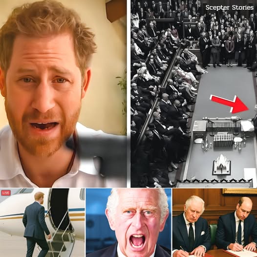 587895184_122227206944103855_5499032078406822032_n