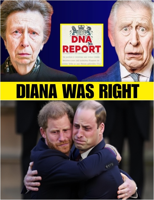 589779345_122227205672103855_2826823476244805279_n