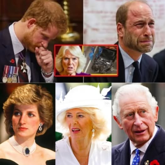 590700462_122227644350103855_2487265527277363383_n