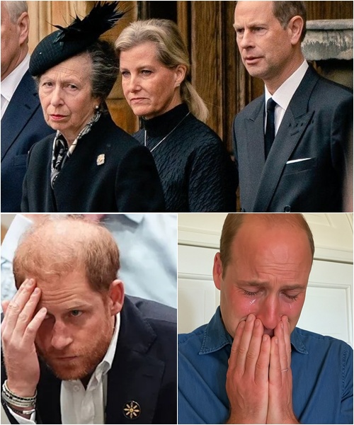 591519802_122227907186103855_6492487751818003349_n