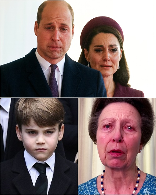 593867741_122228178434103855_2770484284877666141_n (1)