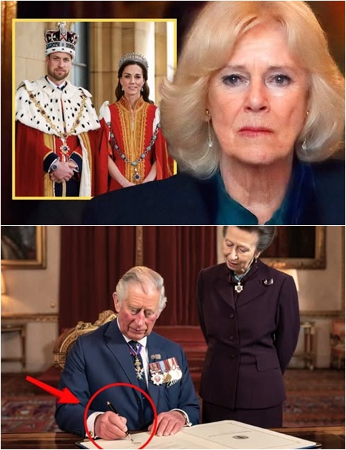 593877725_122228194616103855_7325892834749222224_n