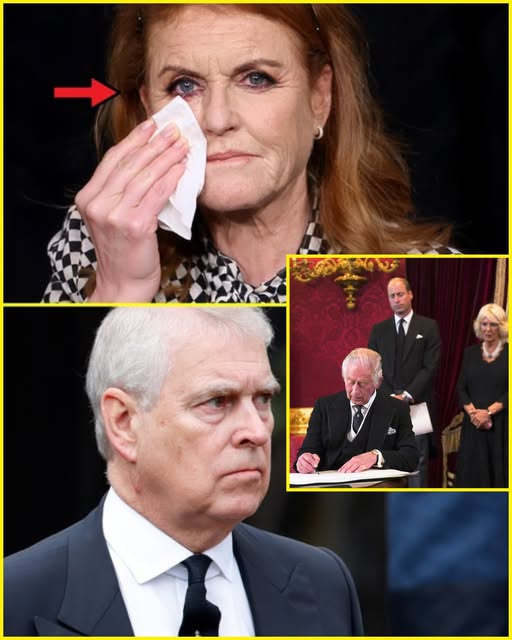 594551602_122228393804103855_7362271589577991448_n