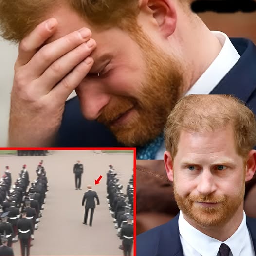 594573855_122228423000103855_7450586489318619904_n