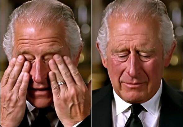 594890059_122228833532103855_5550067772805489963_n