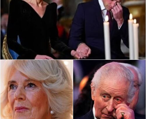 595535713_122228702816103855_5554937542177447540_n