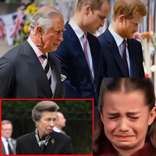 598532546_122229810818103855_7159174080273364668_n