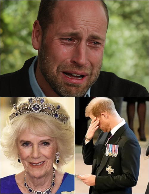 600294635_122230417250103855_2270080833763408560_n