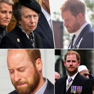12 MINUTES AGO! Princess Anne’s frail voice trembled as she called Prince Harry, pleading for him to return home. Moments later, a visibly shaken Prince William stepped forward to confirm the news Britain had feared most