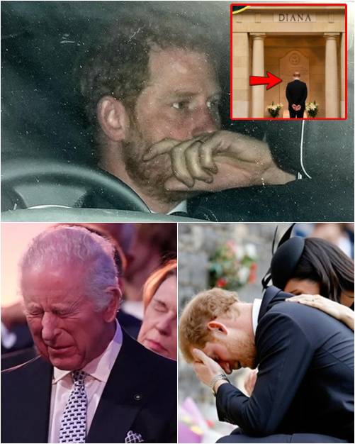 5 MINUTES AGO! Darkness fell over Diana’s tomb as Prince Harry returned quietly in the dead of night, standing frozen before his mother’s grave to announce the TRAGIC NEWS. The Palace locked its gates, the press silenced, an emergency meeting summoned. Through sobs, Harry cried out: ‘Mother… Father has…