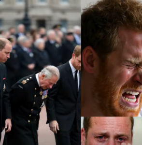 SHOCKING NEWS — JUST 1 MINUTE AGO! Prince William breaks down sobbing as he clutches Prince Harry, moments after doctors confirm devastating news. Buckingham Palace is plunged into silence, all media BLACKED OUT. Then, behind hospital walls, King Charles III collapses to the ground, his anguished cry tearing the night: “My son… oh Lord…