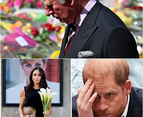 679439843_122245631606103855_3626369424973294793_n