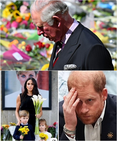 679439843_122245631606103855_3626369424973294793_n