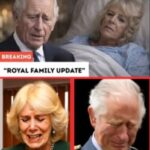 679458797_1629358718132327_6882508084097923464_n-249x300